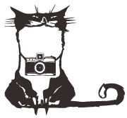 cat-logo-black