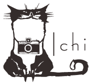 cat-logo-black180×180